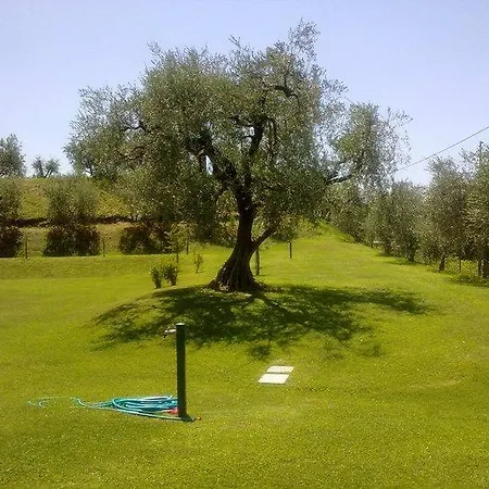 Tre Colline باردولينو